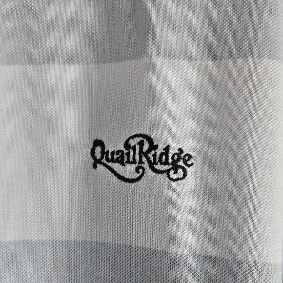 FootJoy Men's Polo in Gray and Blue Tones - Picture 3 of 4